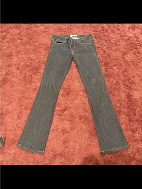 Level 99 Women's Blue Skinny Jeans